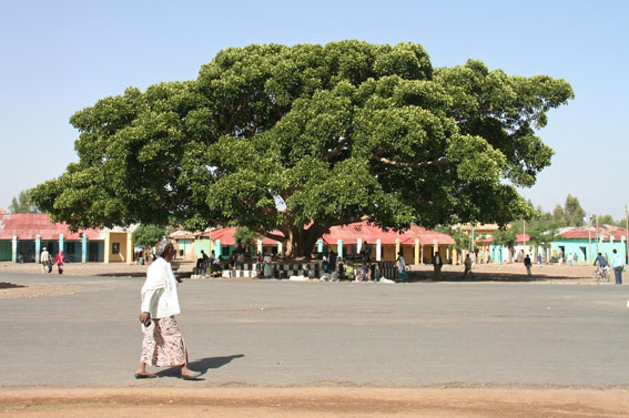 in Axum