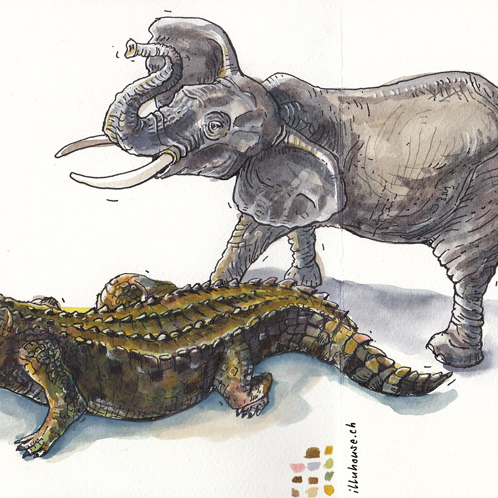 Elefant & Krokodil